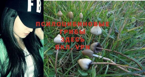прущие крисы Бугульма