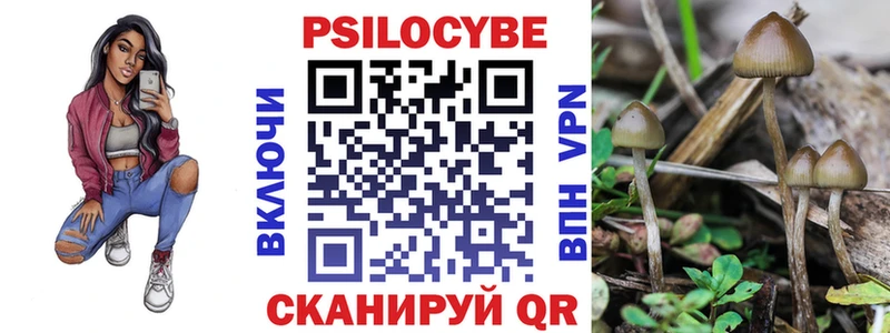 Псилоцибиновые грибы Cubensis Лянтор